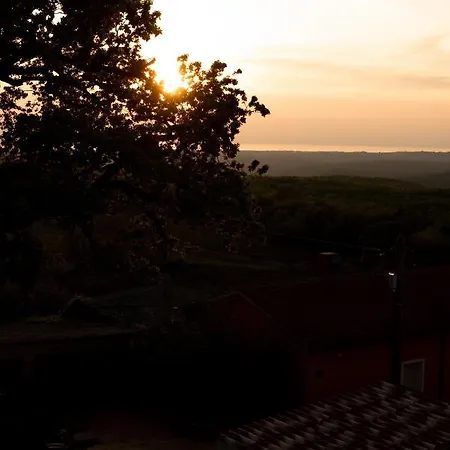 فيلة Vila Murta *