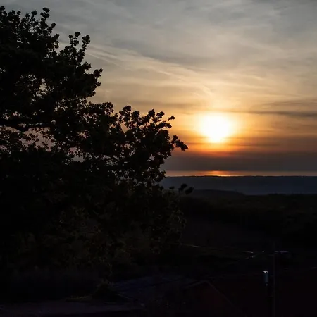 Vila Murta Willa Vranje Selo