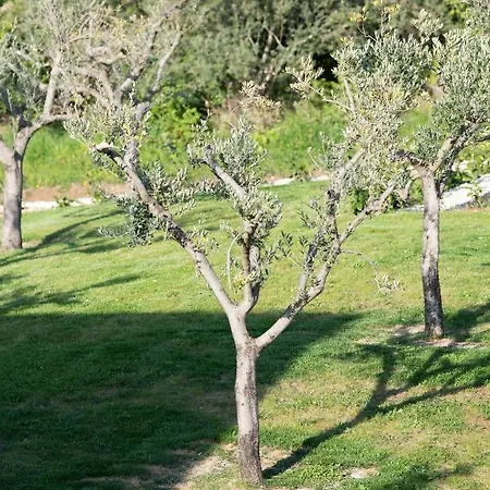 Vila Murta 빌라 Vranje Selo